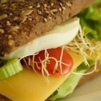 LUNCH GEZOND PP v.a. 8 pers.